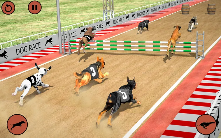 Cách Chơi Game Nhanh Đua Chó Tại VN88 Để Thắng Cược Dễ Dàng 2 Cách Chơi Game Nhanh Đua Chó Tại VN88 Để Thắng Cược Dễ Dàng