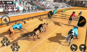 Cách Chơi Game Nhanh Đua Chó Tại VN88 Để Thắng Cược Dễ Dàng